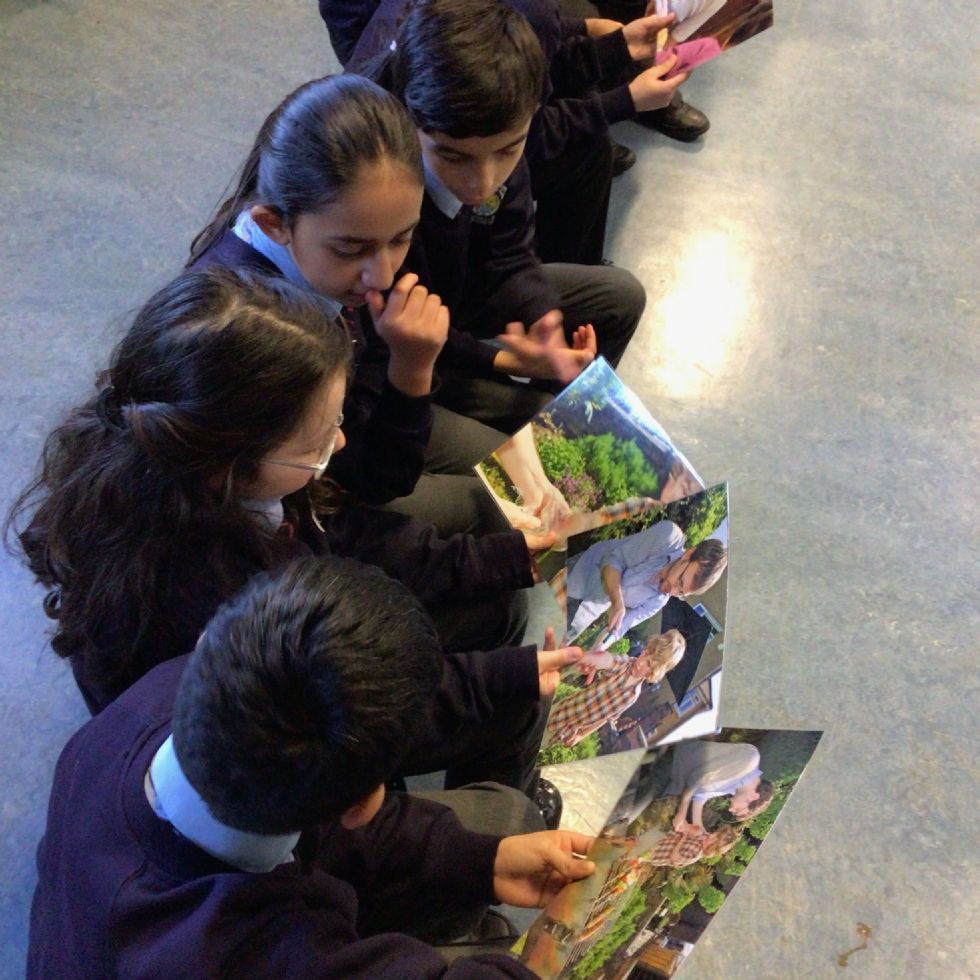 Maybury Primary School - Dolphins