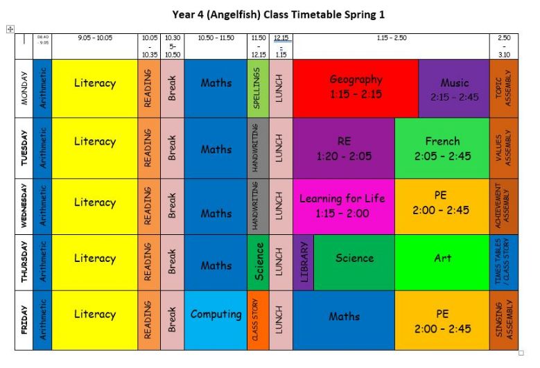 Maybury Primary School - Angelfish